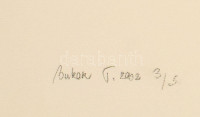 Bukor Tibor (1967-): Női akt. Szitanyomat, papír, jelzett, számozott (3/5). 35x49,5 cm