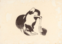 Földi Péter (1949) : Pelikán fióka