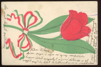 1907 Tulipános, magyar szalagos, dombor nyomású patrióta képeslap