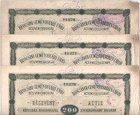 Budapest 1906. Beocsini Cementgyári Unió Részvénytársaság részvénye 200K-ról, magyar és német nyelven, szelvényekkel, bélyegzésekkel, perforált CEMENTIA HOLDING RÉSZVÉNYT KIADTUK felirattal (5x), közte sorszámkövetők T:XF