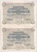 Esztergom 1918. A Hangya kötelékébe tartozó Fogyasztási és Értékesítő Szövetkezet üzletrésze 25K-ról (2x) sorszámkövetők 4662-4663, szelvényekkel, felülbélyegzésekkel T:AU kis folt
