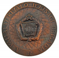 Vincze Dénes (1914-1972) DN A Vállalat Kiváló Ifjúsági Brigádja - Szocialista Brigád egyoldalas bronz plakett (70mm) T:AU