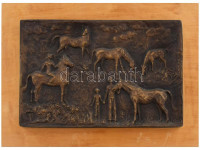 Pató Róza (1934-2018): Lovasok. Bronz fali relief. Fa alapon. jelzett 28x19 cm