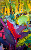Judith Barath (1950): Brugmansia sorozat
